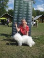 /album/fotogaleria-specialna-vystava-psov-bichon-klub-slovensko-varin-12-9-2015/img-0655-jpg/